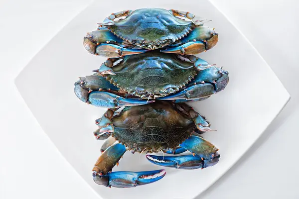Blue crab in the dish, group of blue crabs ingredient in cooking.