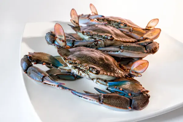 Blue crab in the dish, group of blue crabs ingredient in cooking.