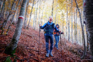Kayın ormanlarındaki yürüyüşçüler sonbahar mevsiminde, erkek ve kadın kuru yapraklarla kaplı bir patikadan inerler..