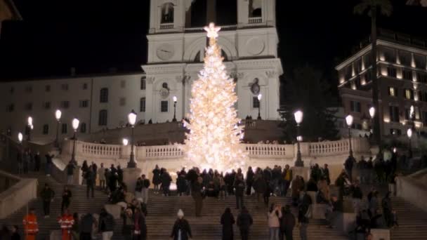 Roma Italia Diciembre 2023 Nuevo Árbol Navidad Lleno Luces Decoraciones — Vídeos de Stock
