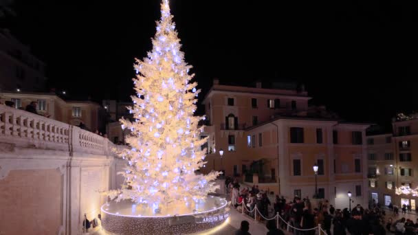 Rzym Włochy Grudnia 2023 Choinka Piazza Spagna Oświetlona Świątecznymi Dekoracjami — Wideo stockowe