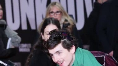 Roma, İtalya - 17 Ocak 2025: Bob Dylan rolüyle aktör Timothe Chalamet, Auditorium Parco Della Musica 'daki 