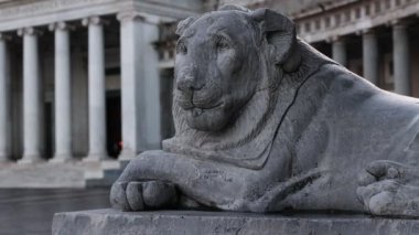 Napoli Piazza del Plebiscito 'daki mermer aslan. Arka planda San Francesco di Paola Bazilikasının girişi var..