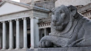 Napoli Piazza del Plebiscito 'daki mermer aslan. Arka planda San Francesco di Paola Bazilikasının girişi var..