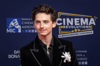 Roma, İtalya - 7 Mayıs 2025: Timothee Chalamet, 70. David Di Donatello Cinecitta Stüdyoları sırasında 7 Mayıs 2025 'te İtalya' nın başkenti Roma 'da kırmızı halıya katıldı..