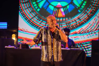 Roma, İtalya - 31 Mayıs 2025: Sud Sound System grubu Parco degli Acquedotti 'de düzenlenen ücretsiz müzik etkinliği sırasında sahne aldı.