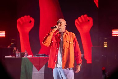 Roma, İtalya - 31 Mayıs 2025: Sud Sound System grubu Parco degli Acquedotti 'de düzenlenen ücretsiz müzik etkinliği sırasında sahne aldı.