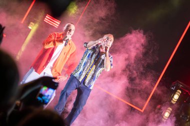 Roma, İtalya - 31 Mayıs 2025: Sud Sound System grubu Parco degli Acquedotti 'de düzenlenen ücretsiz müzik etkinliği sırasında sahne aldı.