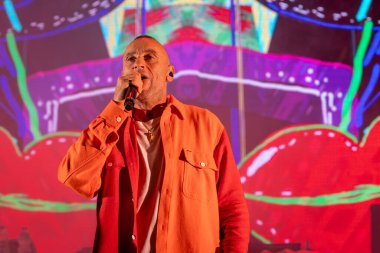 Roma, İtalya - 31 Mayıs 2025: Sud Sound System grubu Parco degli Acquedotti 'de düzenlenen ücretsiz müzik etkinliği sırasında sahne aldı.