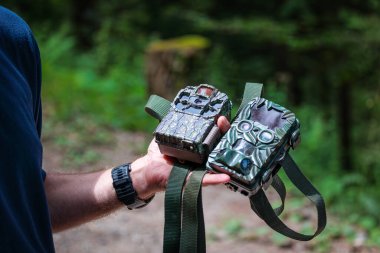 Ormandaki vahşi hayvanları izlemek için iki farklı kamera tuzağı var..