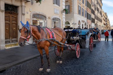 Roma, İtalya - 4 Ağustos 2025: Tipik bir 