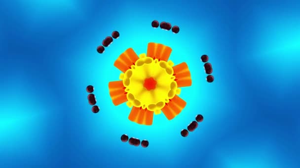 Blumenstern Auf Blauem Hintergrund Kaleidoskop Schöne Flirrende Muster Videobearbeitung Endlose — Stockvideo