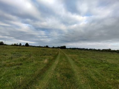 Ortasında toprak yol olan çimenli bir tarla..