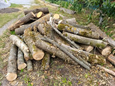 Yol kenarında duran bir odun yığını..