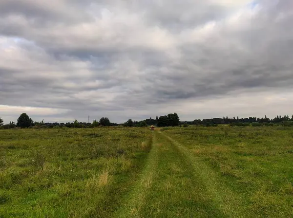Bulutlu bir gökyüzünün altında çimenli bir arazide bisiklet süren bir insan..