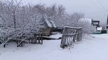Arka planda çitleri ve ağaçları olan karla kaplı bir bahçe.