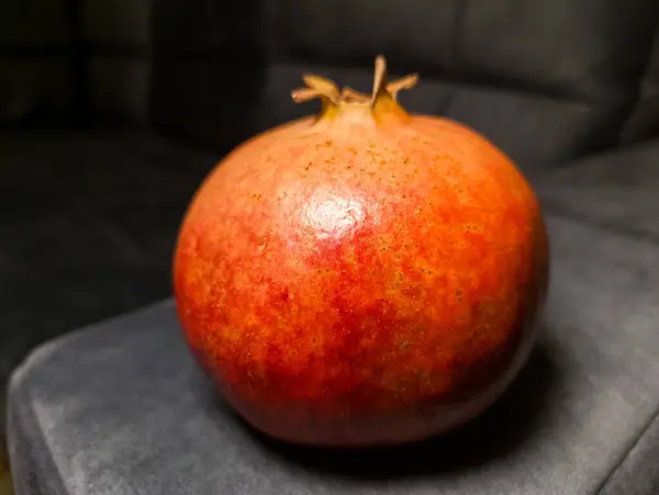 Siyah bir kanepede oturan bir nar..