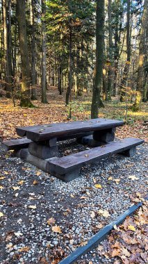 Ormanın ortasında duran ahşap bir piknik masası.