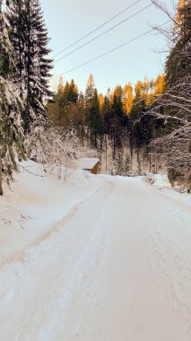 Karlı bir ormanın ortasında karla kaplı bir yol..