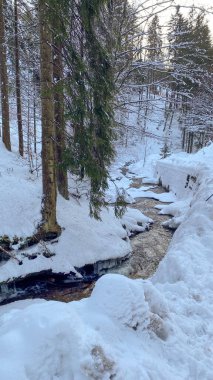 Karla kaplı bir ormanda akan küçük bir dere..