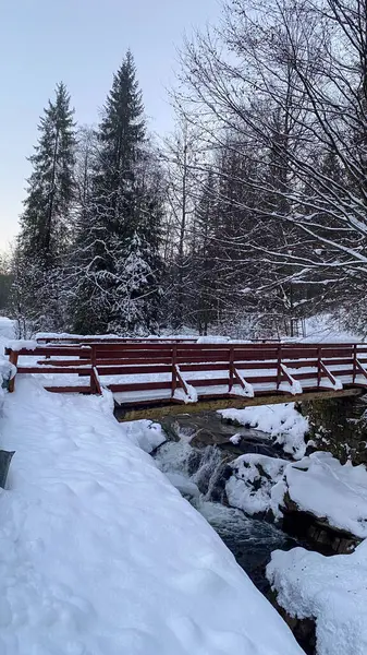Karda bir derenin üzerinde tahta bir köprü.