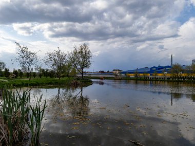 Ağaçlar ve otlarla çevrili bir su kütlesi..