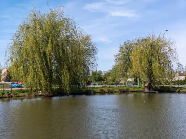 Ortasında küçük bir tekne olan bir gölet..