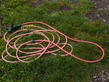 Pembe bahçe hortumu çimlerin üzerinde yatıyordu..