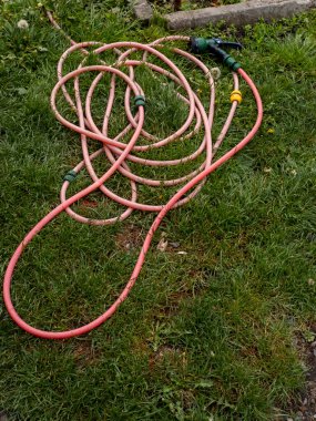 Bahçedeki çimlerin üzerinde pembe bir bahçe hortumu..