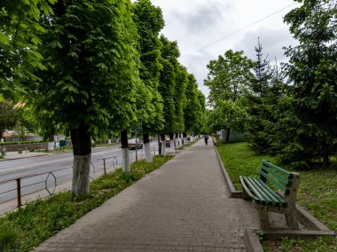 Yolun kenarında bir park bankında, kaldırımın yanında..