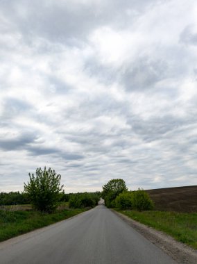 Çimenli bir arazinin ortasında toprak bir yol.