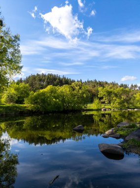 Yeşillik bir ormanın ortasında küçük bir gölet.