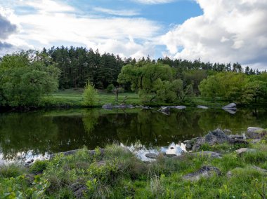 Çimenli bir tarlanın ortasında ağaçlarla çevrili küçük bir gölet..