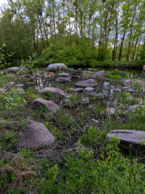 Taşlarla dolu yemyeşil bir ormanda akan küçük bir dere..
