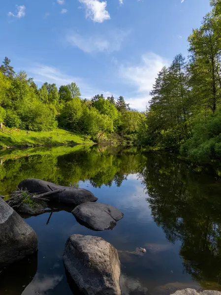 Ormanlık bir alanın ortasında, suda kayalar olan küçük bir gölet..