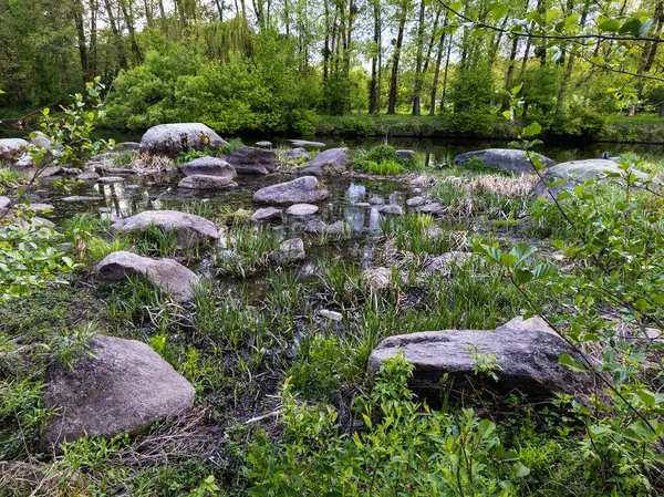 Yeşillik bir ormanın ortasında küçük bir gölet.
