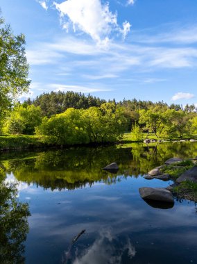 Ağaçlarla çevrili ormanlık bir alanın ortasında küçük bir gölet..