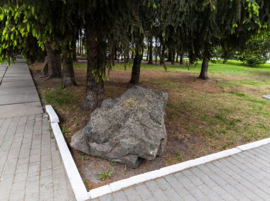 Parkın ortasında duran büyük bir kaya..