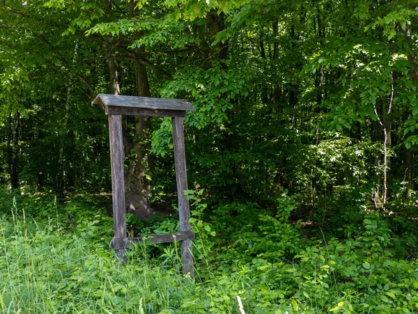 Yeşillik bir ormanın ortasında bir dilek kuyusu..