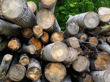 Üst üste istiflenmiş kütükler yığını.