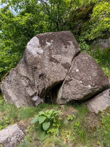 Otlağın ortasında büyük bir kaya..