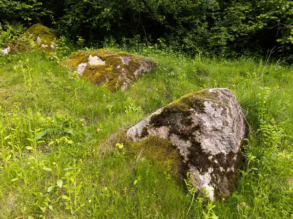 Otlağın ortasında büyük bir kaya..