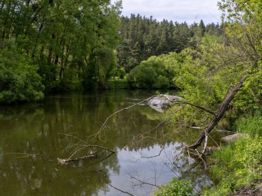 Ağaçların ve kayaların olduğu ormanlık bir alanın ortasında bir nehir..