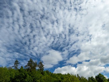 Önünde beyaz bulutlar ve ağaçlar olan mavi bir gökyüzü..