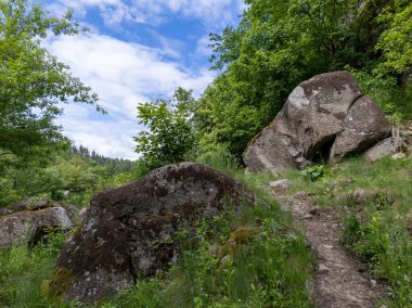 Çimenli bir tarlanın ortasında, ormanın yanında büyük bir kaya..