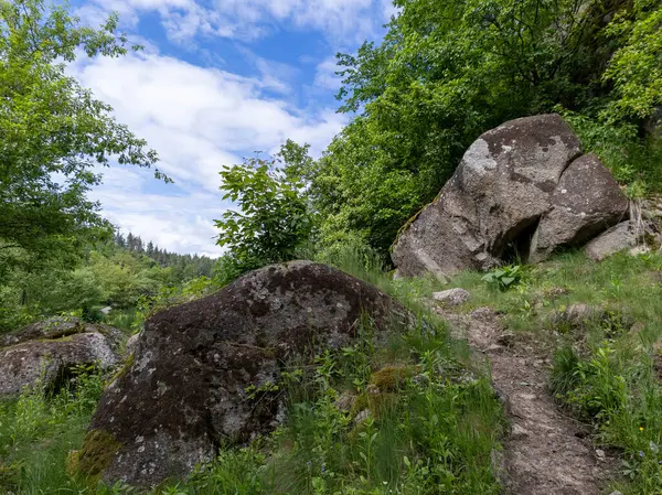 Çimenli bir tarlanın ortasında, ormanın yanında büyük bir kaya..