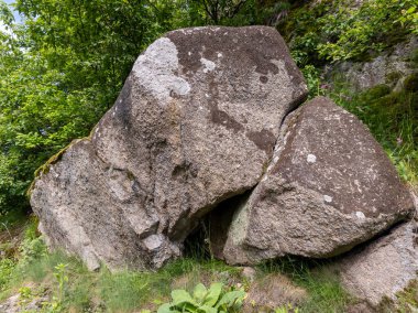 Otlağın ortasında büyük bir kaya..