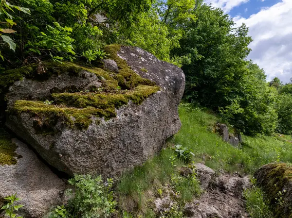 Ormanın ortasında yeşil yosunlarla kaplı büyük bir kaya..