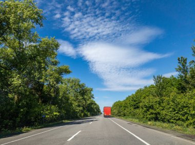 Ormanın ortasında kırmızı bir kamyonet yolda ilerliyor..