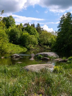 Yeşillik bir ormanın ortasında küçük bir gölet.